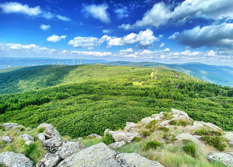 Paysage de la Montagne Noire, dans l'Aude