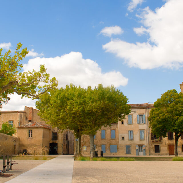 Programme d'une journée à Castelnaudary