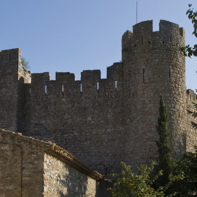 Château cathare dans l'Aude, près de Castelnaudary