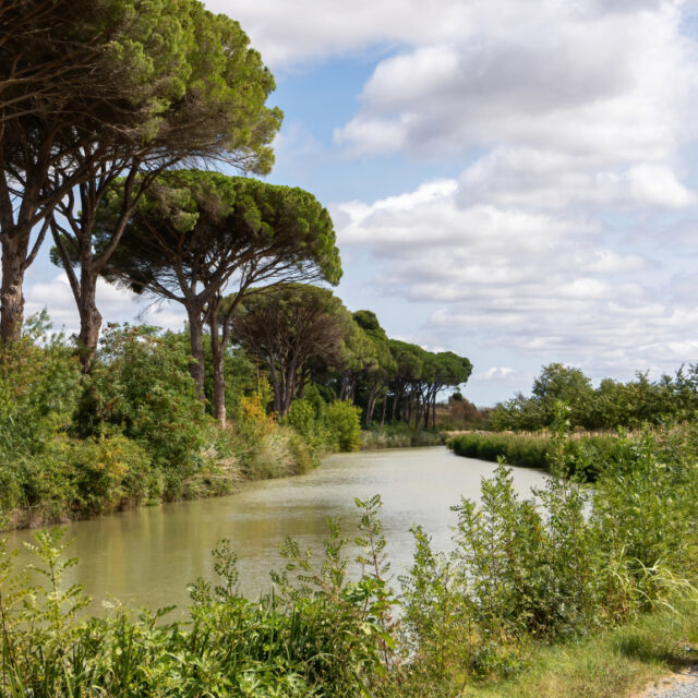 Cyclotourisme sur le canal du Midi au départ de Castelnaudary
